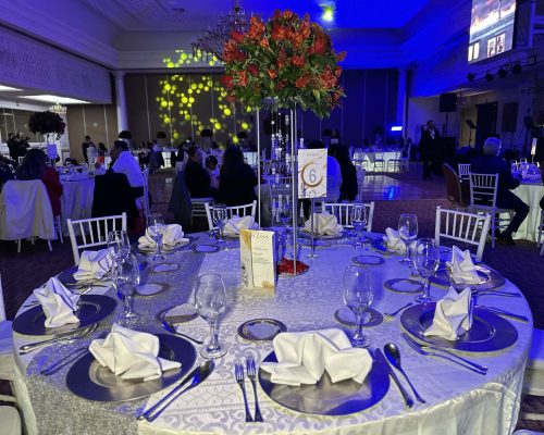 social_16